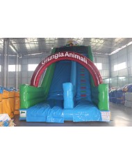 SC-21 / Scivolo Gonfiabile mod. Maxi mt 9,00X4.50X7,00h