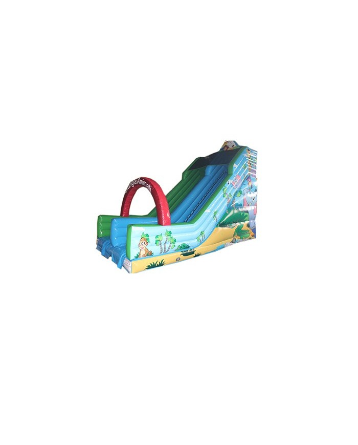 SC-21 / Scivolo Gonfiabile mod. Maxi mt 9,00X4.50X7,00h
