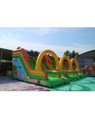 SC-37 / Scivolo Gonfiabile mod. Zoo mt 6,00X4.00X4,00h